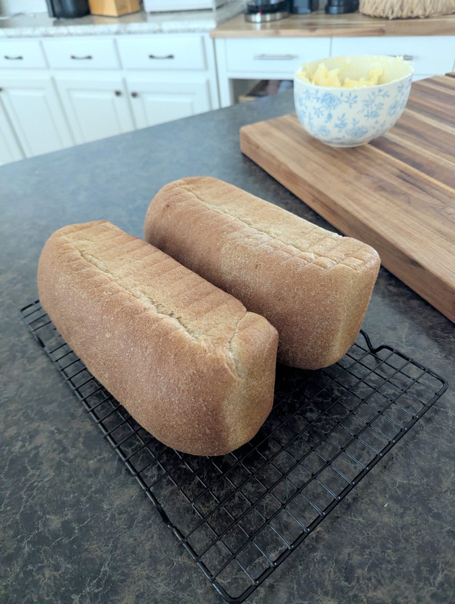 Two freshly milled sandwich loaves cooling on a rack